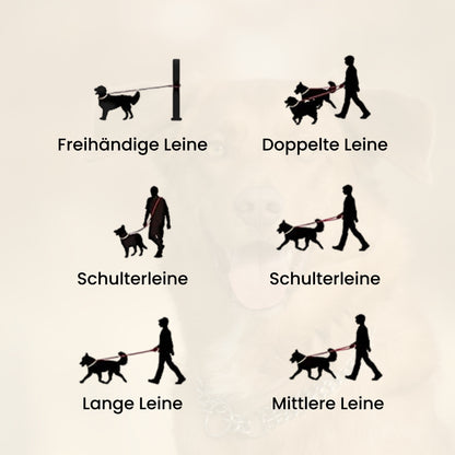 DOGGO | Spazieren mit freien Händen