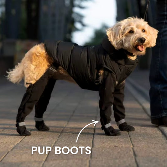 Pup Boots