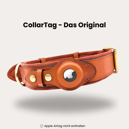 CollarTag | Hundehalsband mit Airtag Halterung