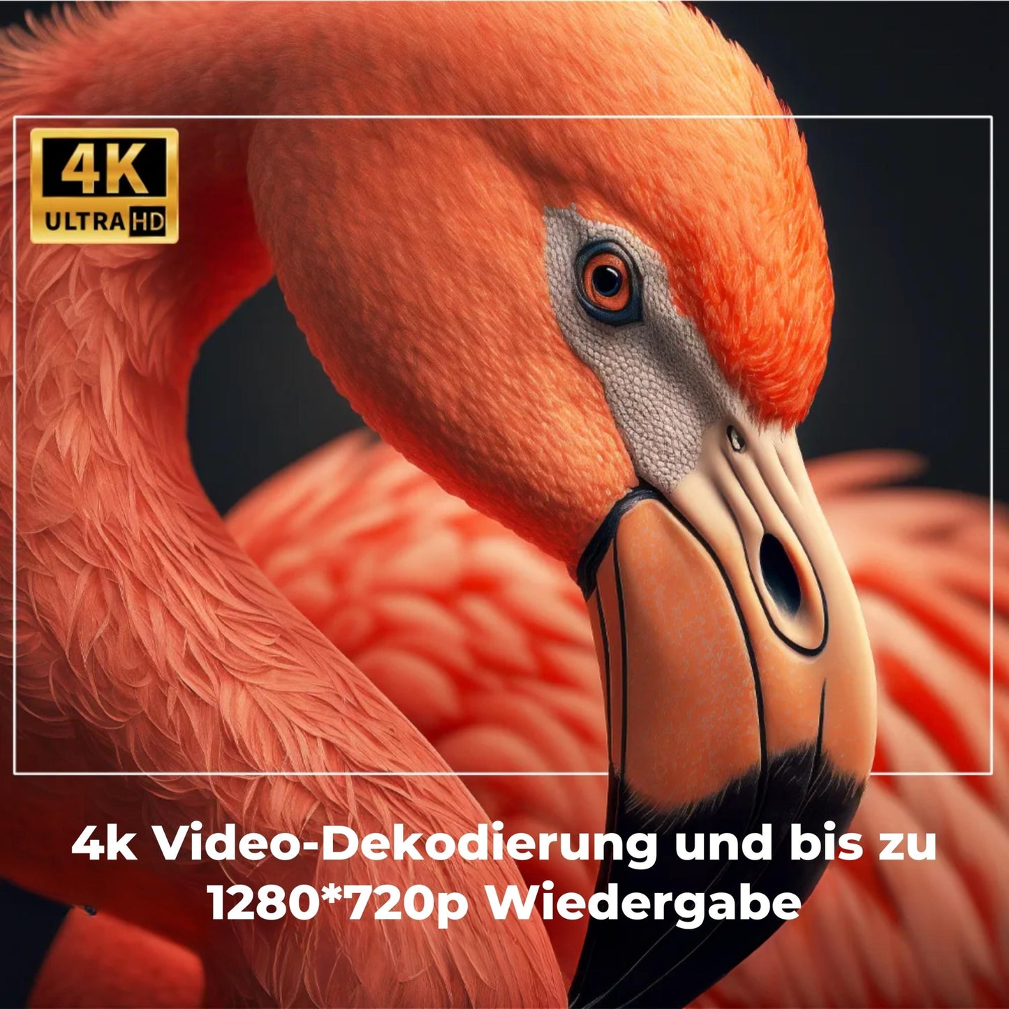 FokusPro | Dein eigenes 4K Heimkino