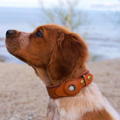 CollarTag | Hundehalsband mit Airtag Halterung