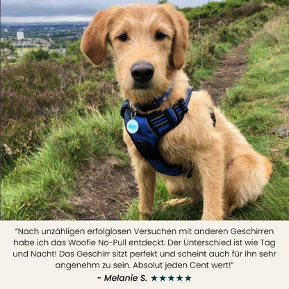 Woofie | No-Pull Hunde Geschirr