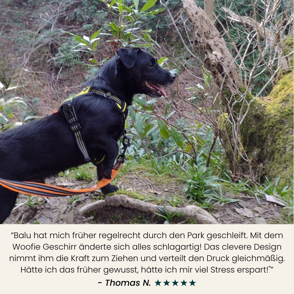 Woofie | No-Pull Hunde Geschirr