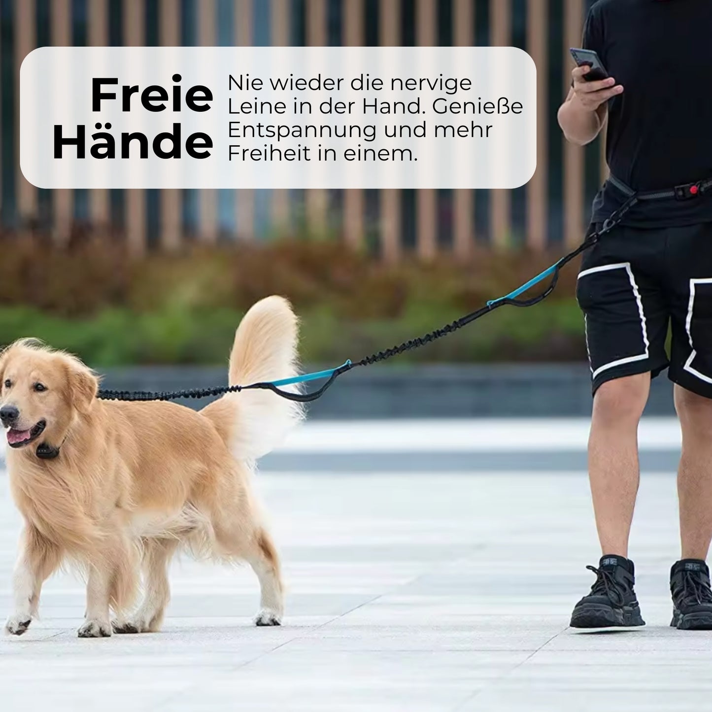 DOGGO | Freihändige Spaziergänge