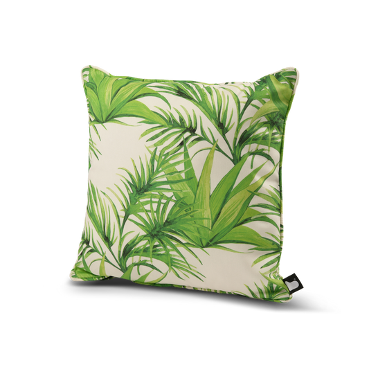 B Cushion Palm