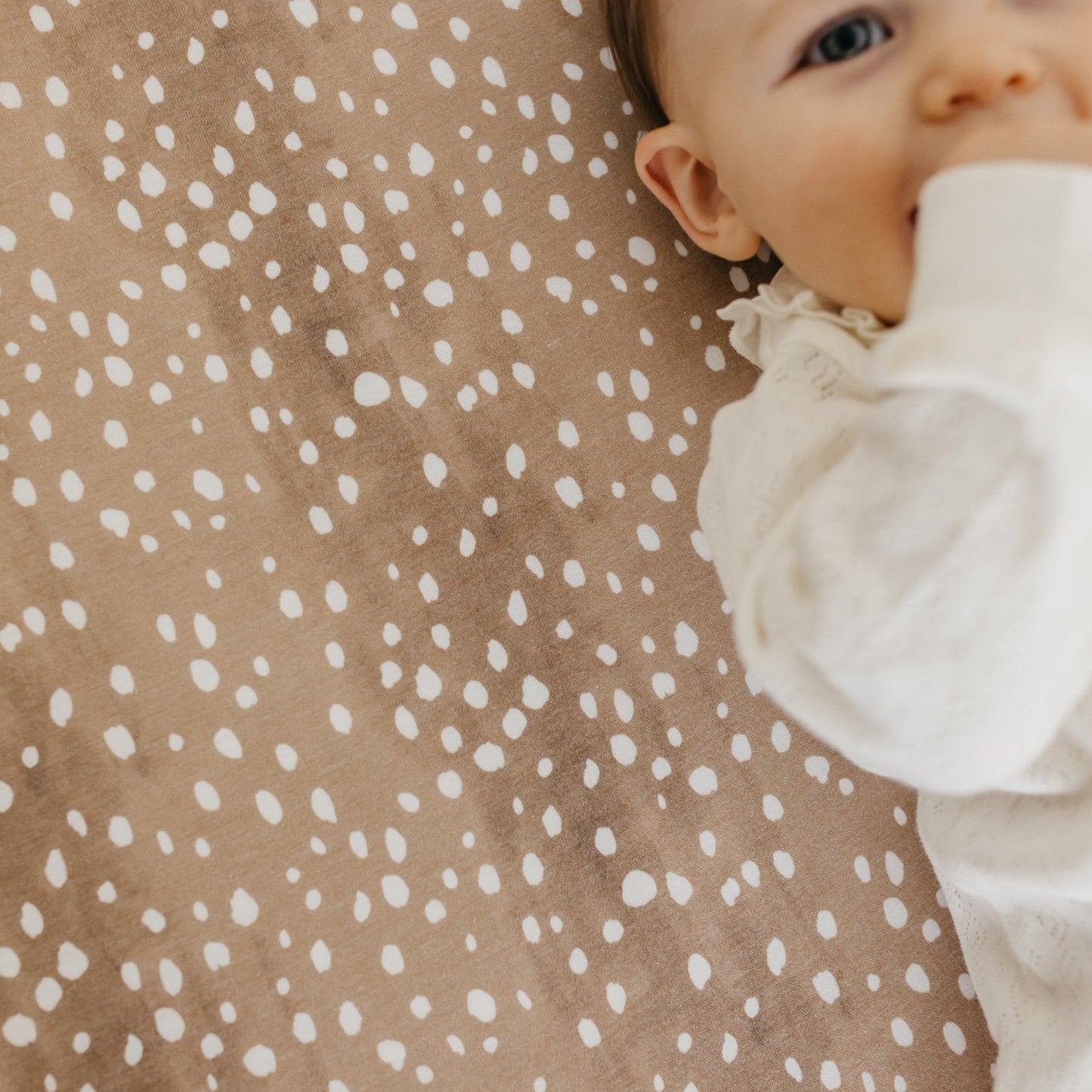 Copper Pearl premium knit fitted crib sheet in fawn color, featuring soft, snug fit and cozy fabric for baby cribs.