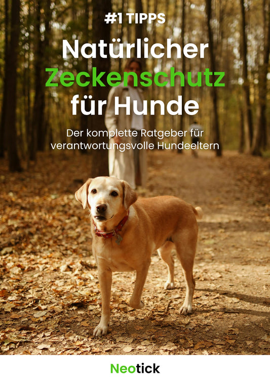 E-Book Neotick